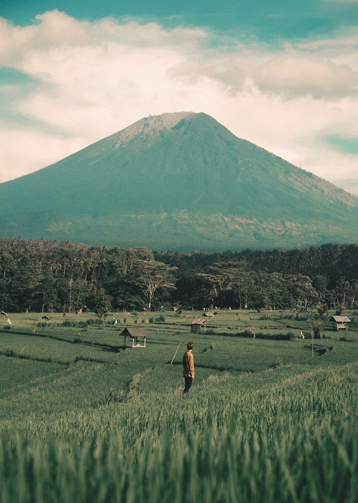 Tranquil scene of a mountain and lush fields with a lone person standing, capturing natural beauty.