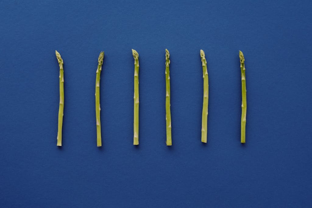 Fresh green asparagus spears aligned on a vivid blue background, showcasing simplicity and health.