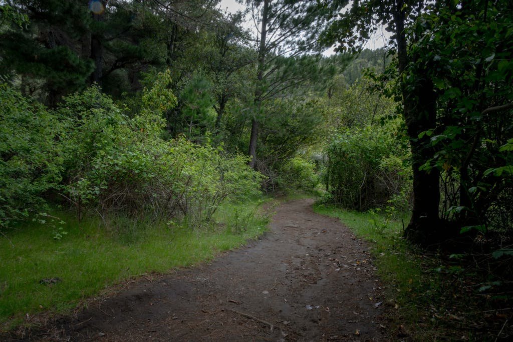 Dina Bychkova and FastPeopleSearch in Dina Huapi, Argentine Patagonia. Perfect nature escape.