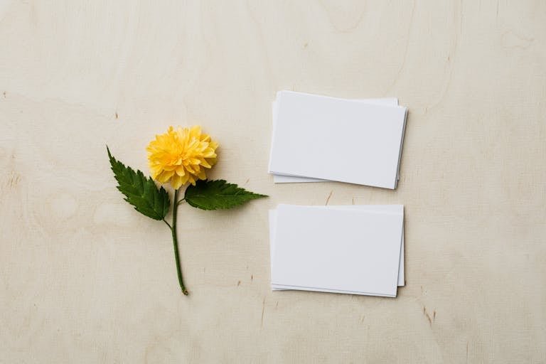 Flat lay of ClickUp's Product Launch Template next to a yellow flower on a wooden surface.