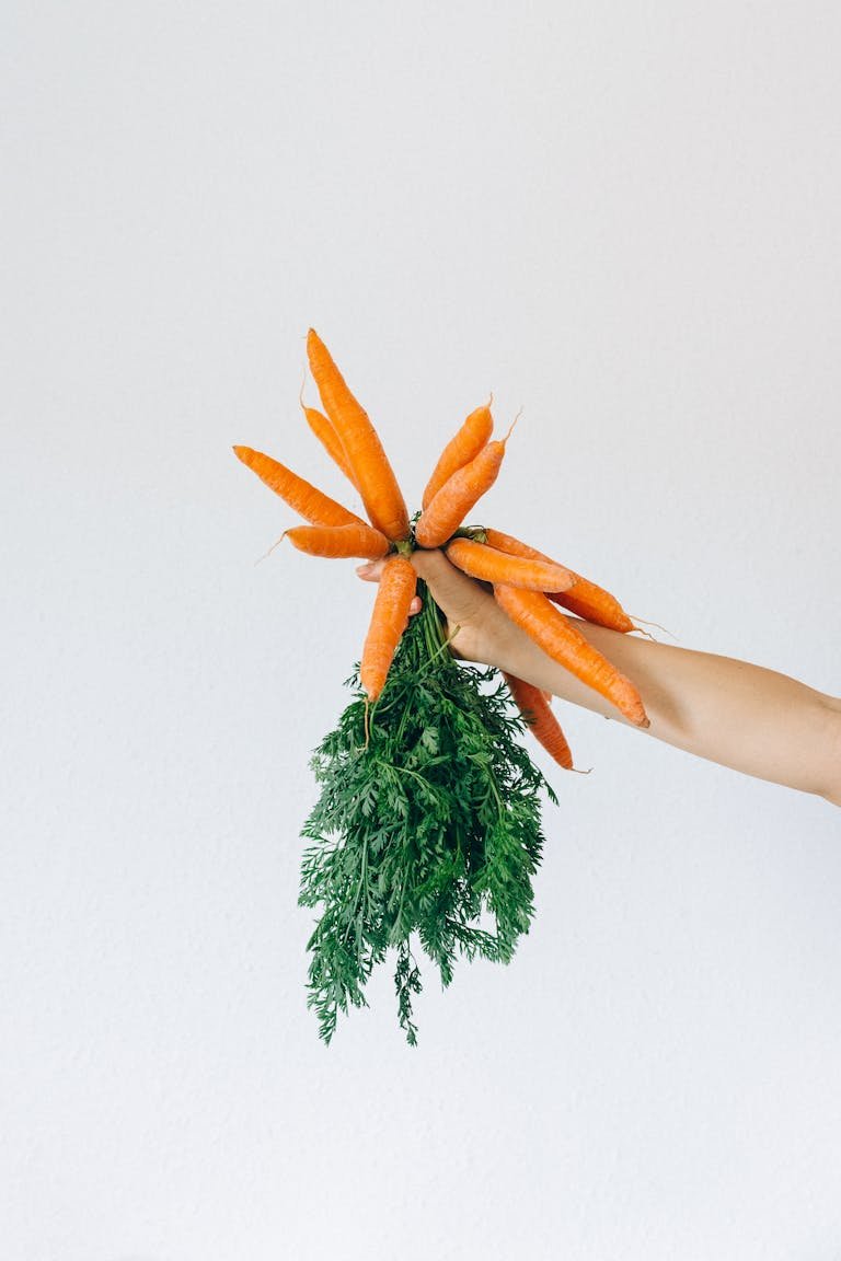 Health ThreeTrees com vn  a fresh bunch of organic carrots with vibrant green tops.